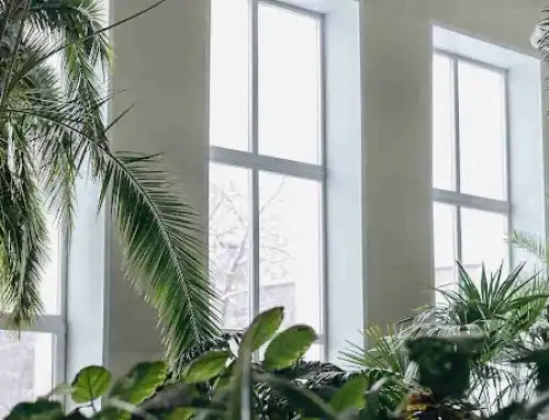 Impact Windows in Pinellas County: What Homeowners Need to Know