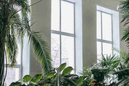 Impact Windows Pinellas County installed in bright home with tall glass panels and tropical landscaping.