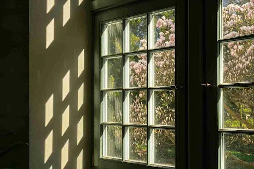 Window replacement featuring white grid panes with garden views and natural light improving energy efficiency.